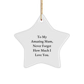 Gifts from Family to Mum, Star Ornament for Mum, Never Forget How Much I Love You. - Image 1